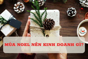 Ý TƯỞNG KINH DOANH ĐỘC ĐÁO MÙA NOEL GIÁNG SINH